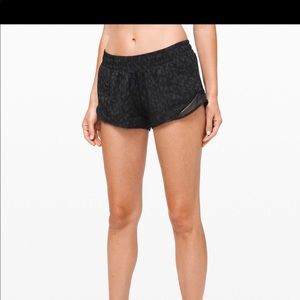 Hotty hot short 2.5” inseam